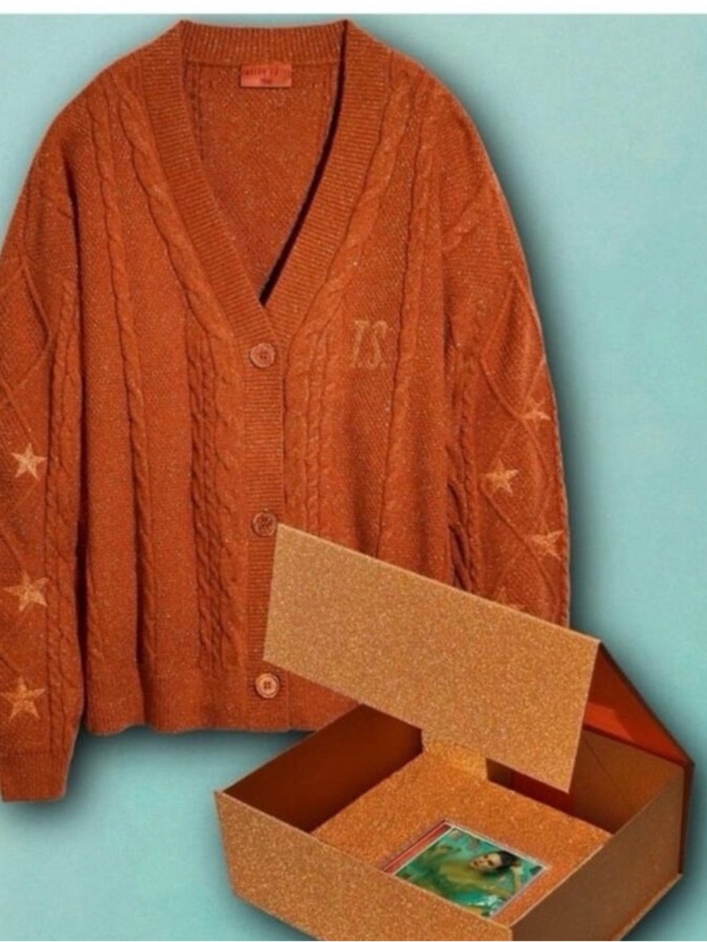 Rust Orange Cable Knit V-Neck Cardigan Sweater - Women
